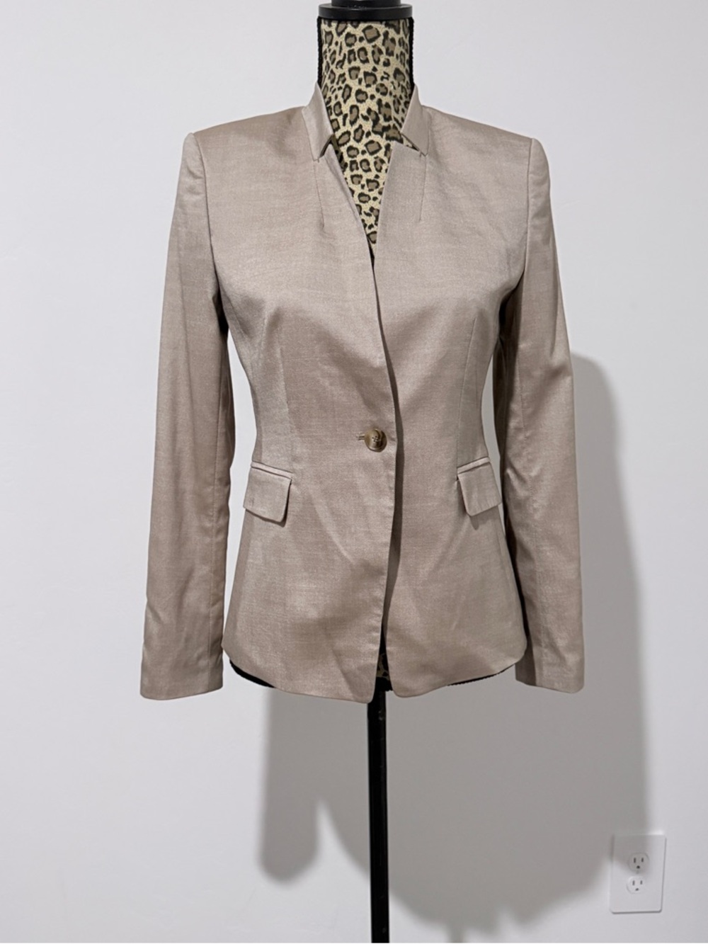 Ann Taylor Shimmery Taupe Single-Button Blazer Size 6P